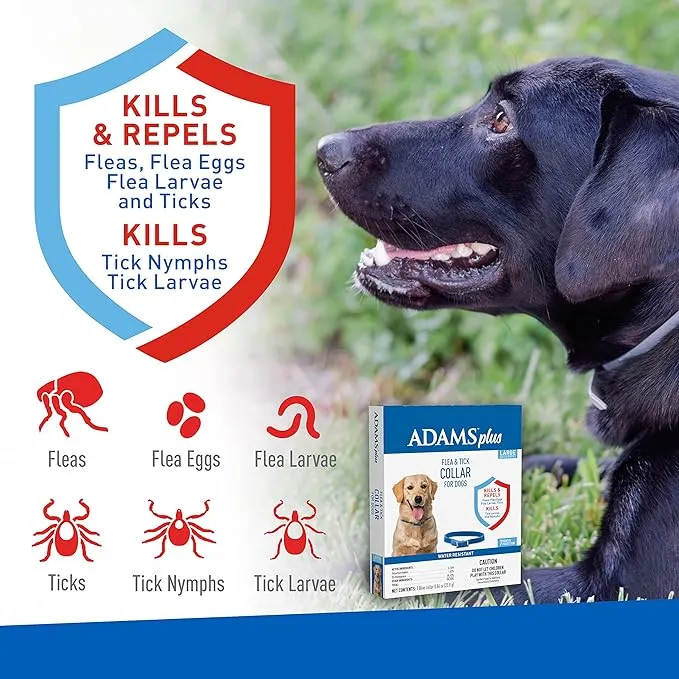 Adams Plus Dog Flea & Tick Collar