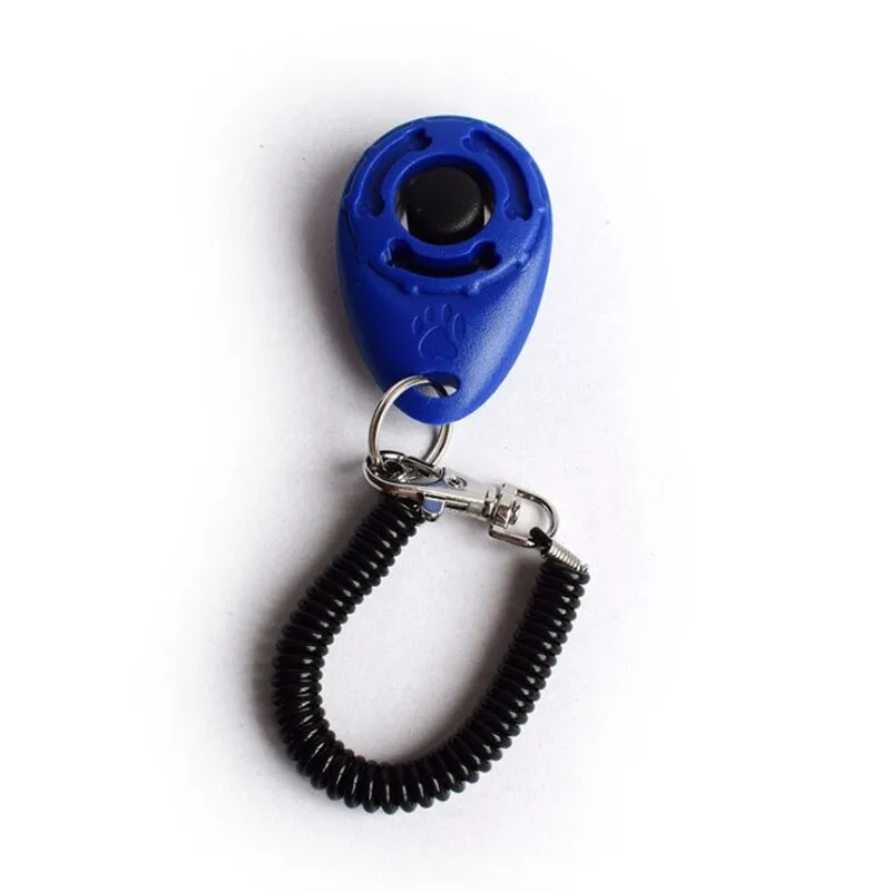 Adjustable Sound Key Chain For Pet