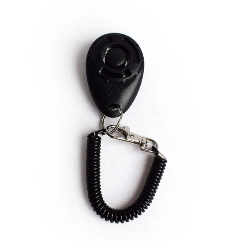 Adjustable Sound Key Chain For Pet