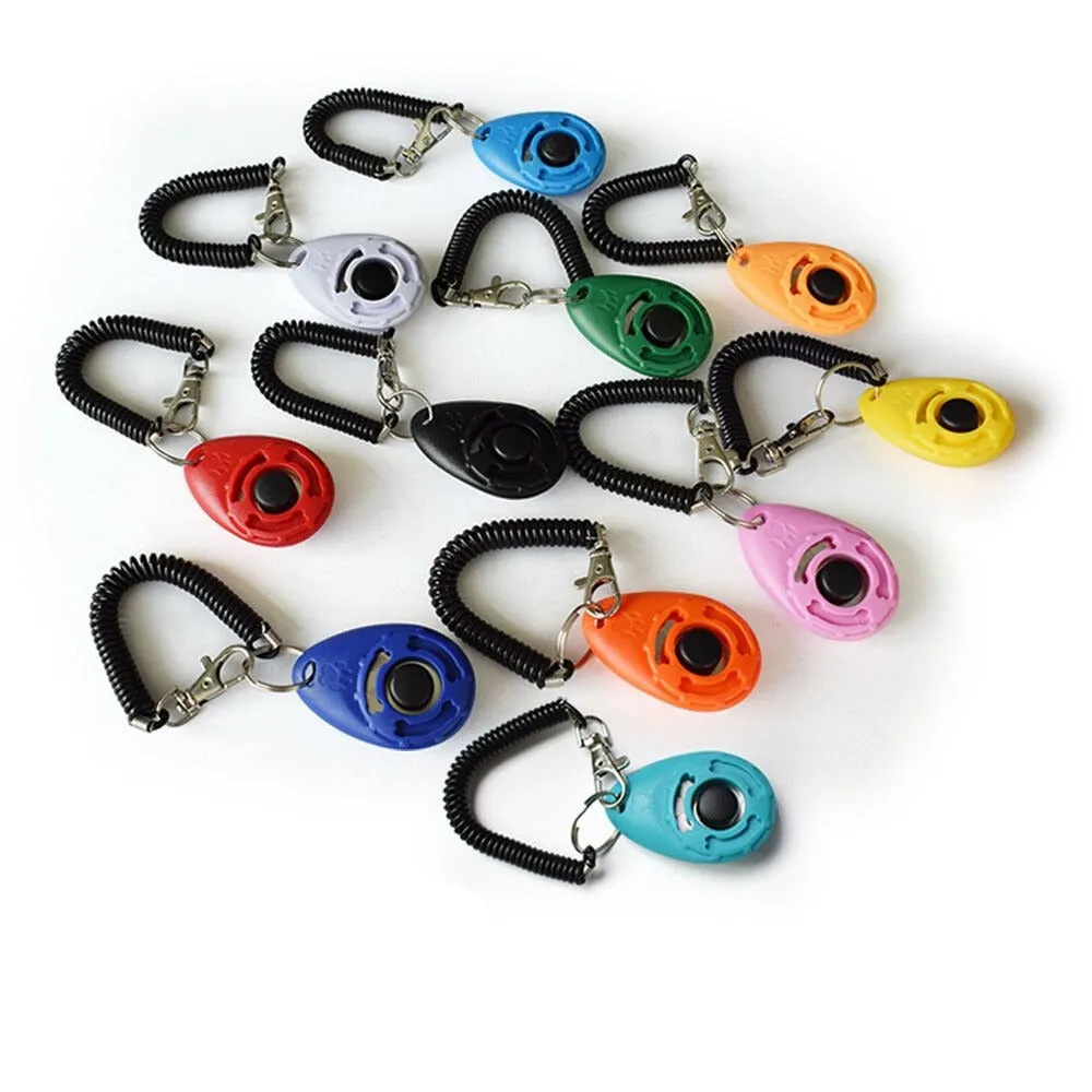 Adjustable Sound Key Chain