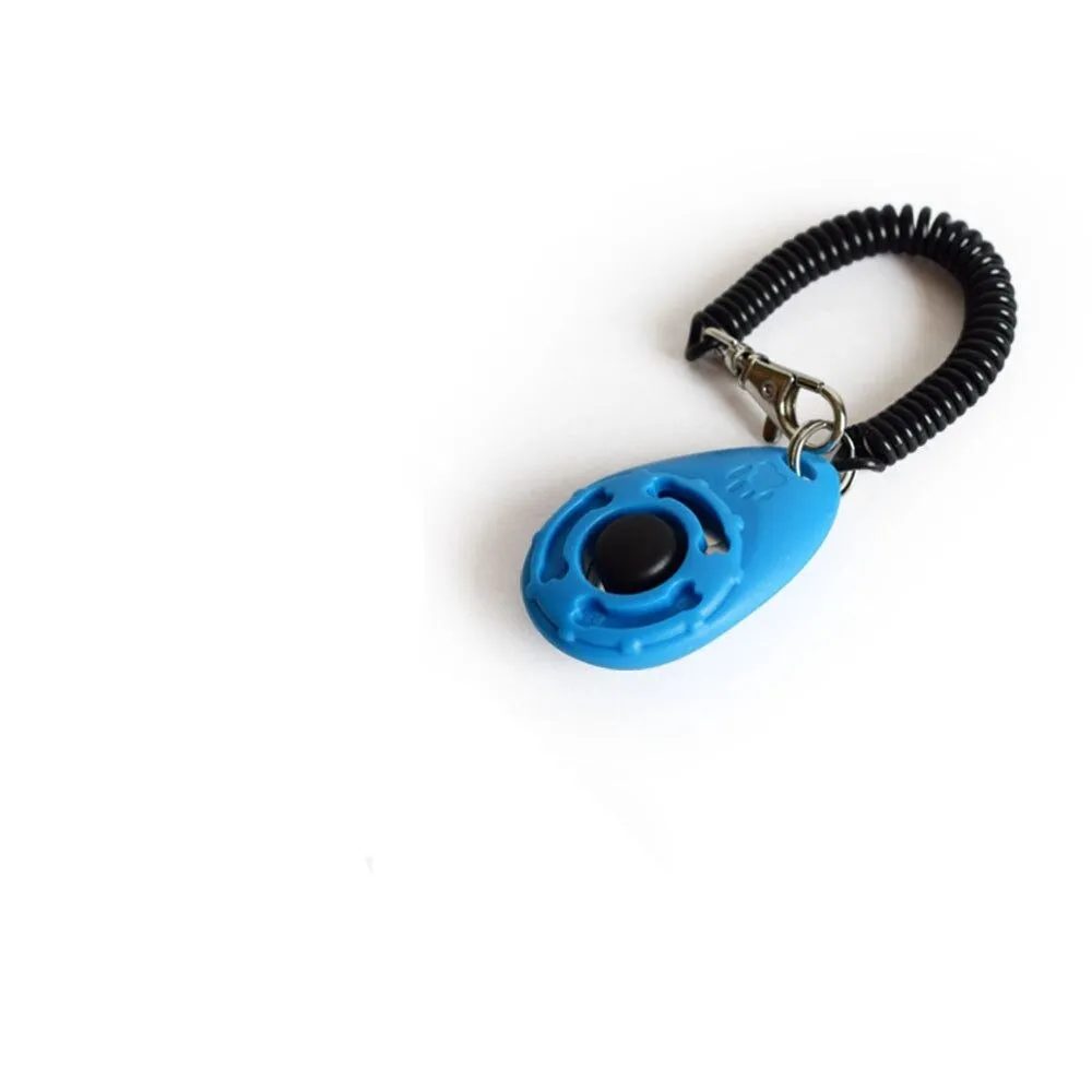 Adjustable Sound Key Chain