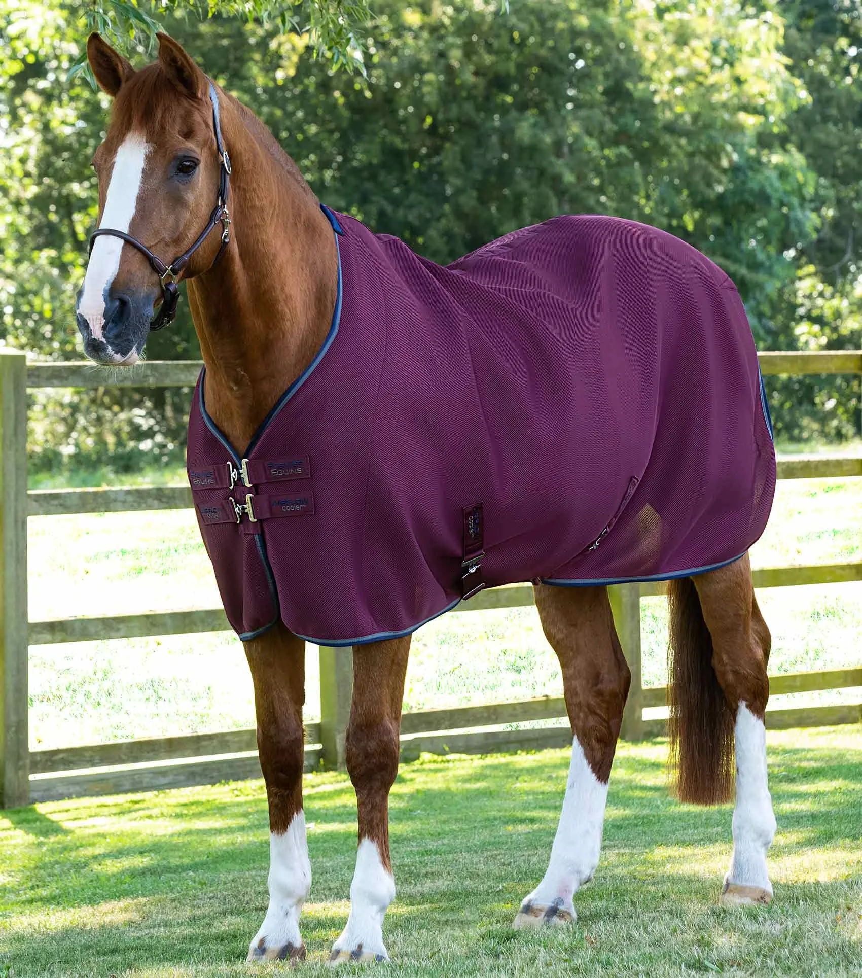 Airflow Cooler Rug Burgundy