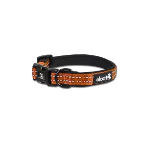 Alcott adventure collars