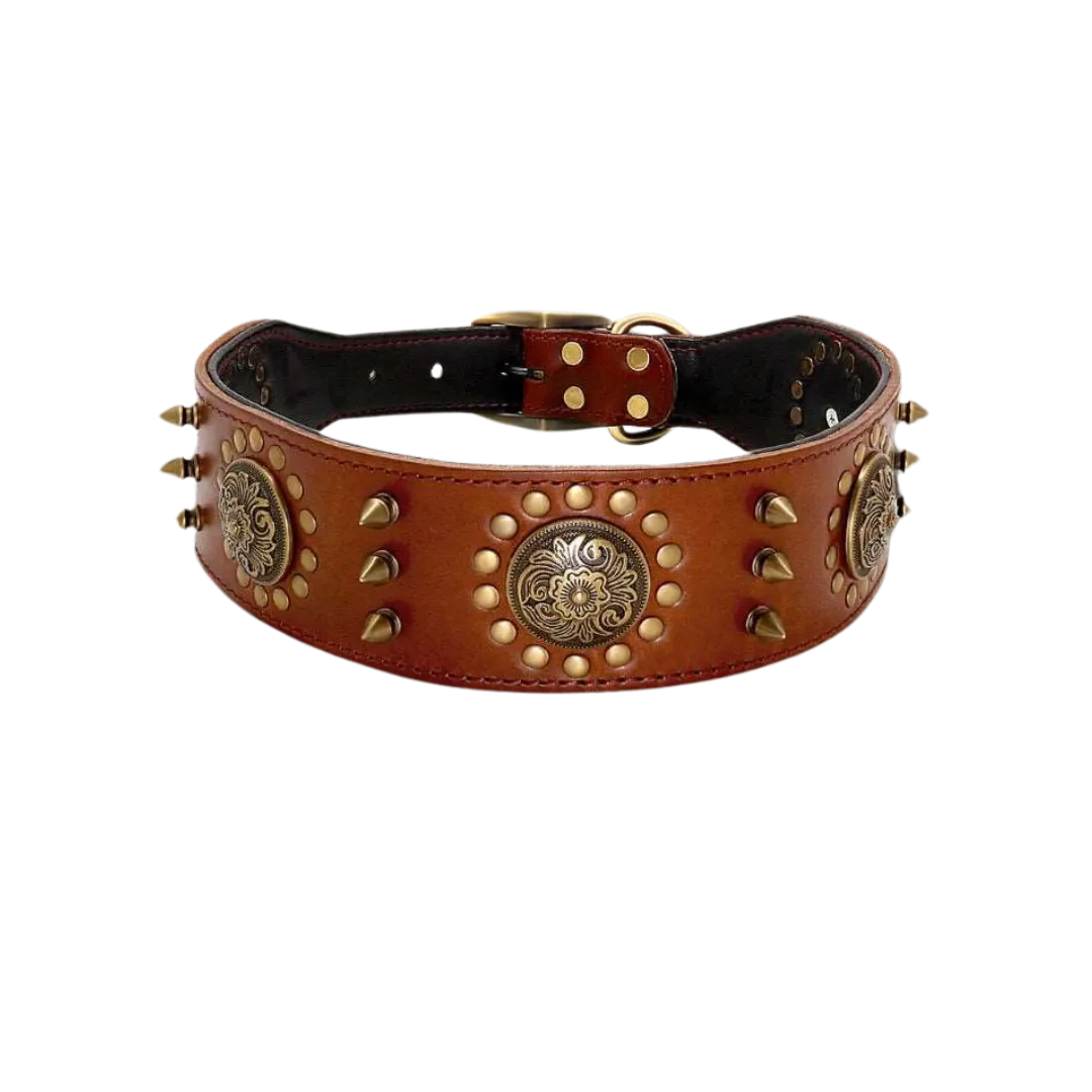 Arizona Heritage Collar