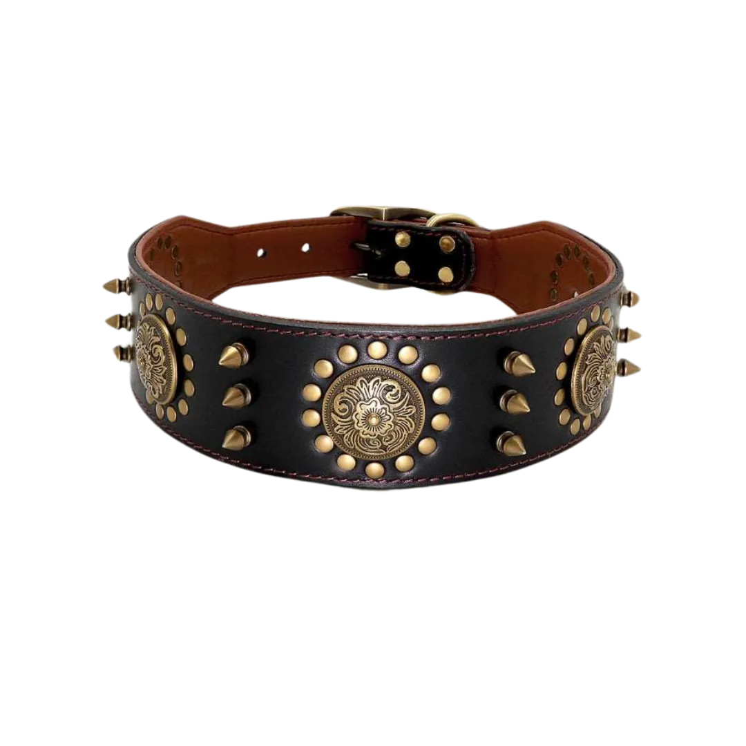 Arizona Heritage Collar