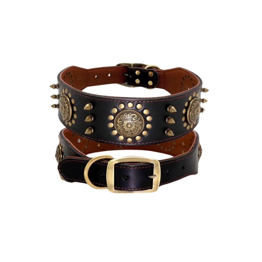 Arizona Heritage Collar