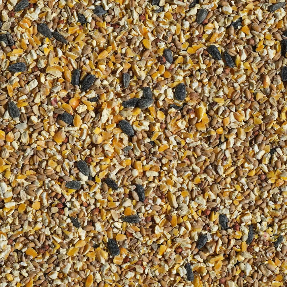 Armstrong Feather Treat All Season Wild Bird Food Blend 15lbs