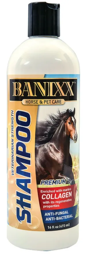 Banixx Veterinary Strength Shampoo, 16 oz