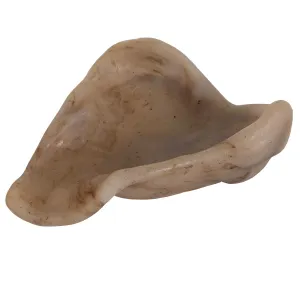 BarkBone Natural Instincts Nylon Pig Ear