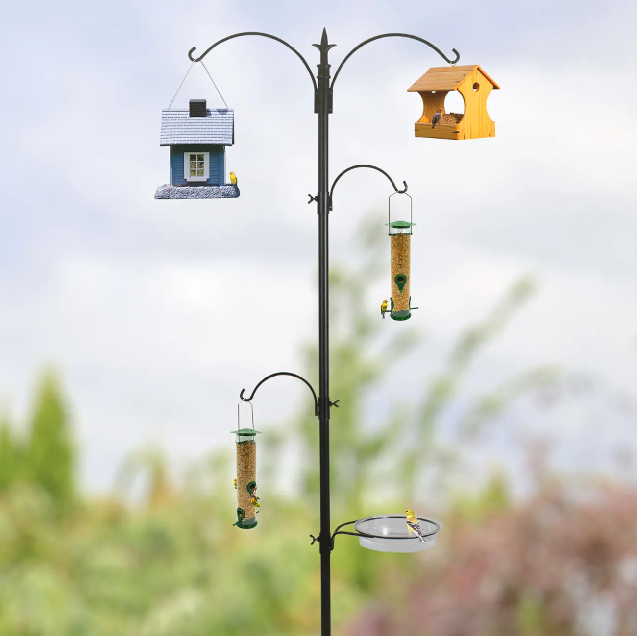 Bird Feeding Bath Station (4 Prongs)