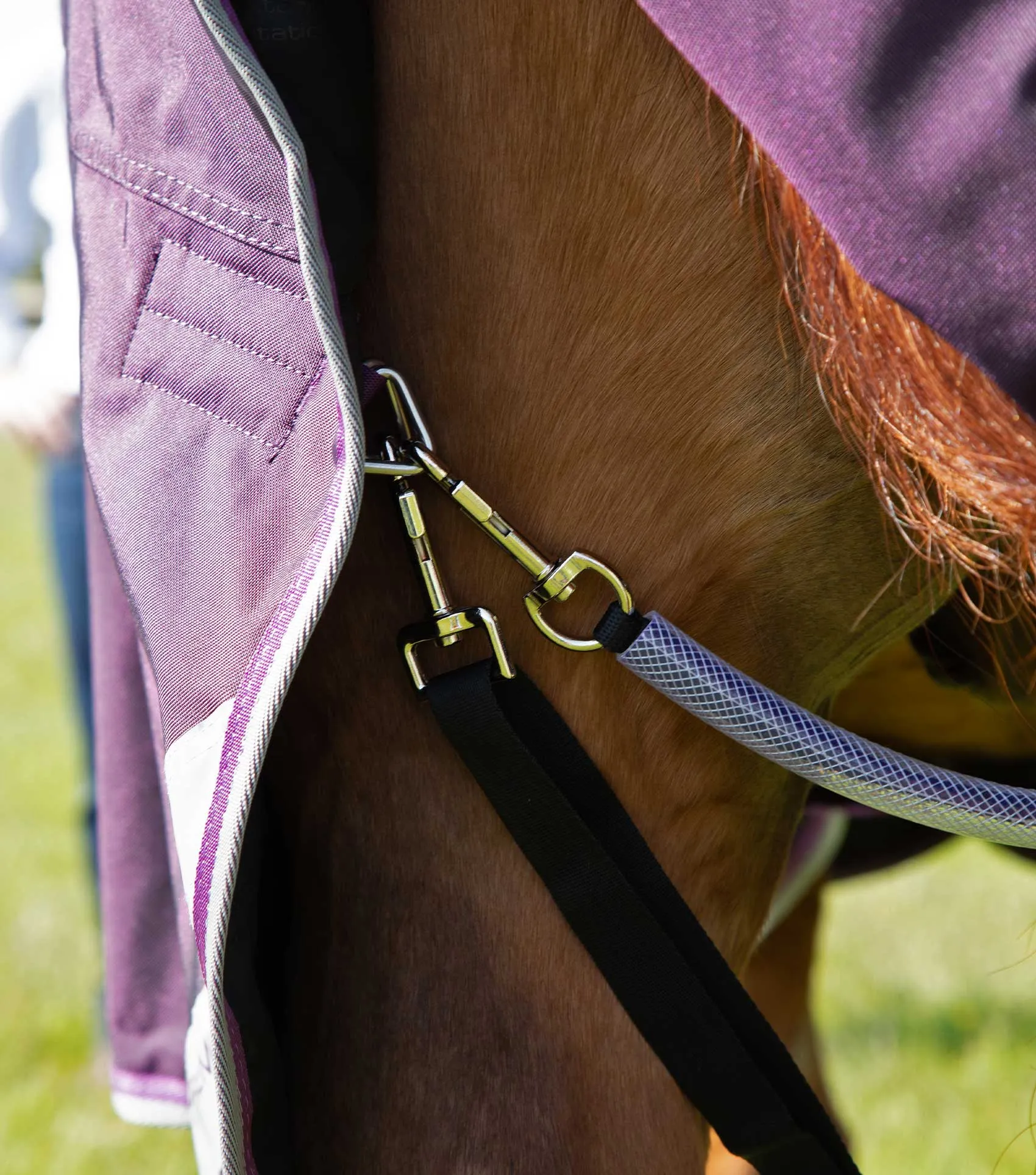 Buster 70g Turnout Rug with Classic Neck Cover Purple