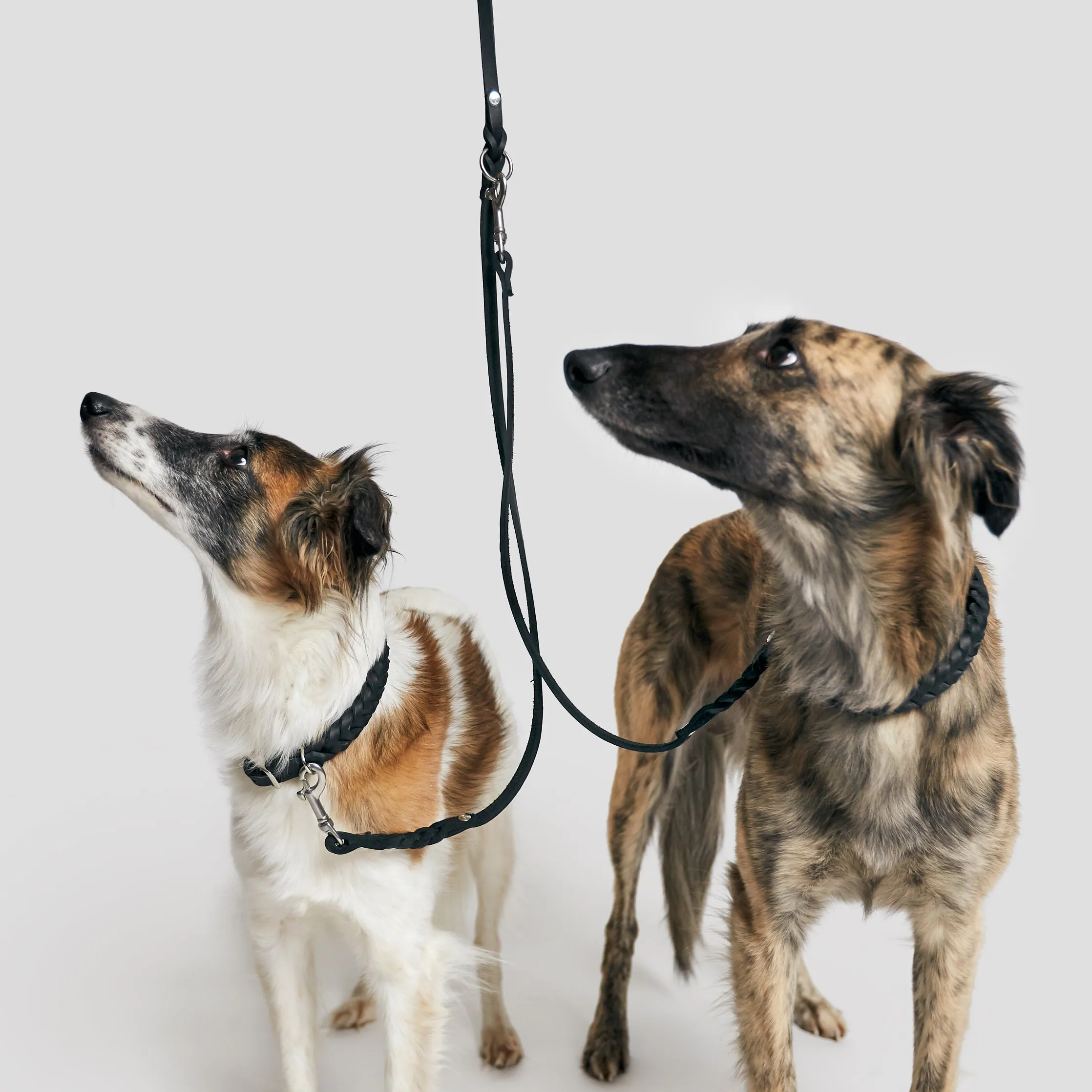 Cloud7: Riverside Park Black Leather Dog Leash Coupler