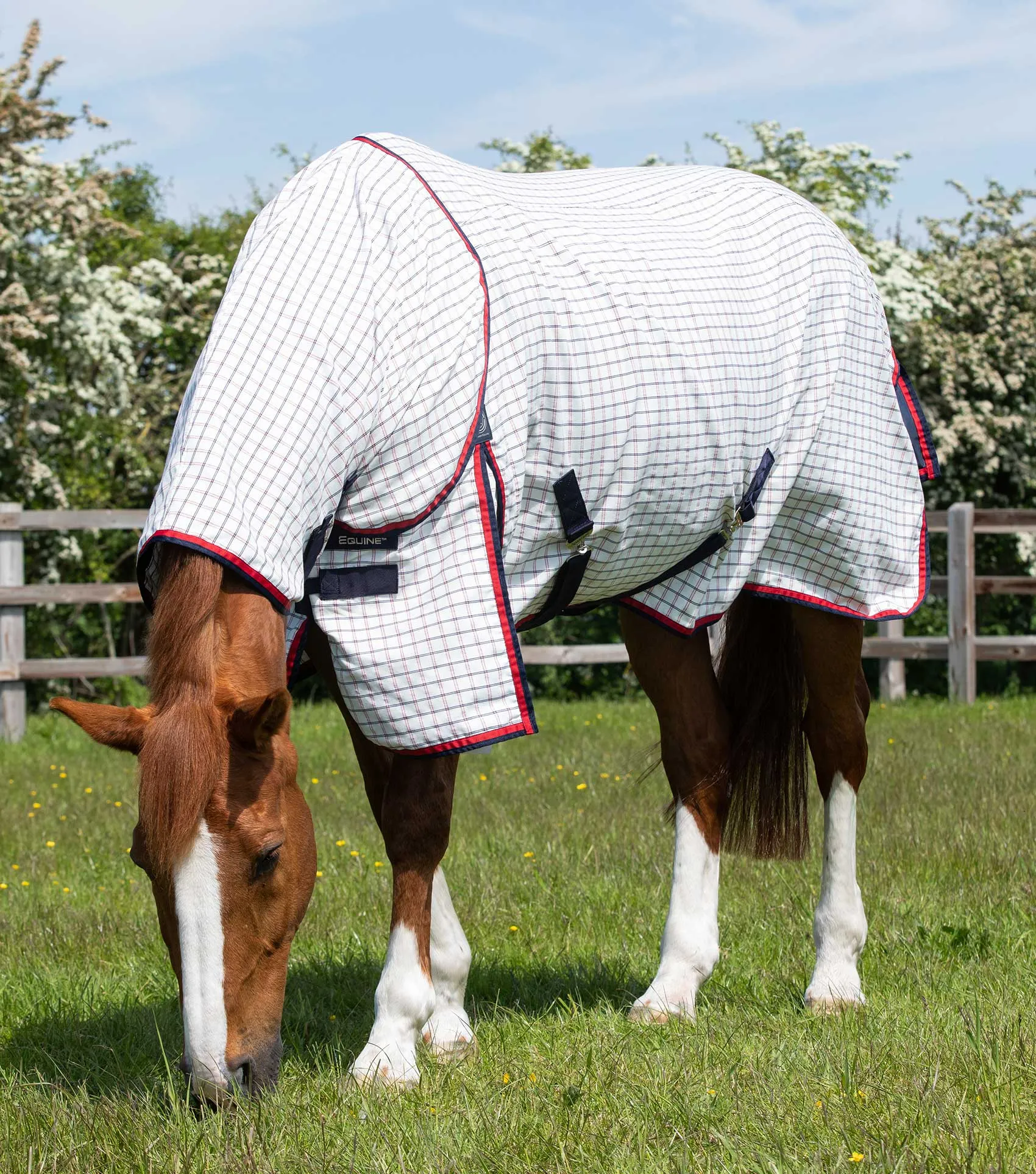 Combo Cotton Sheet Red Check