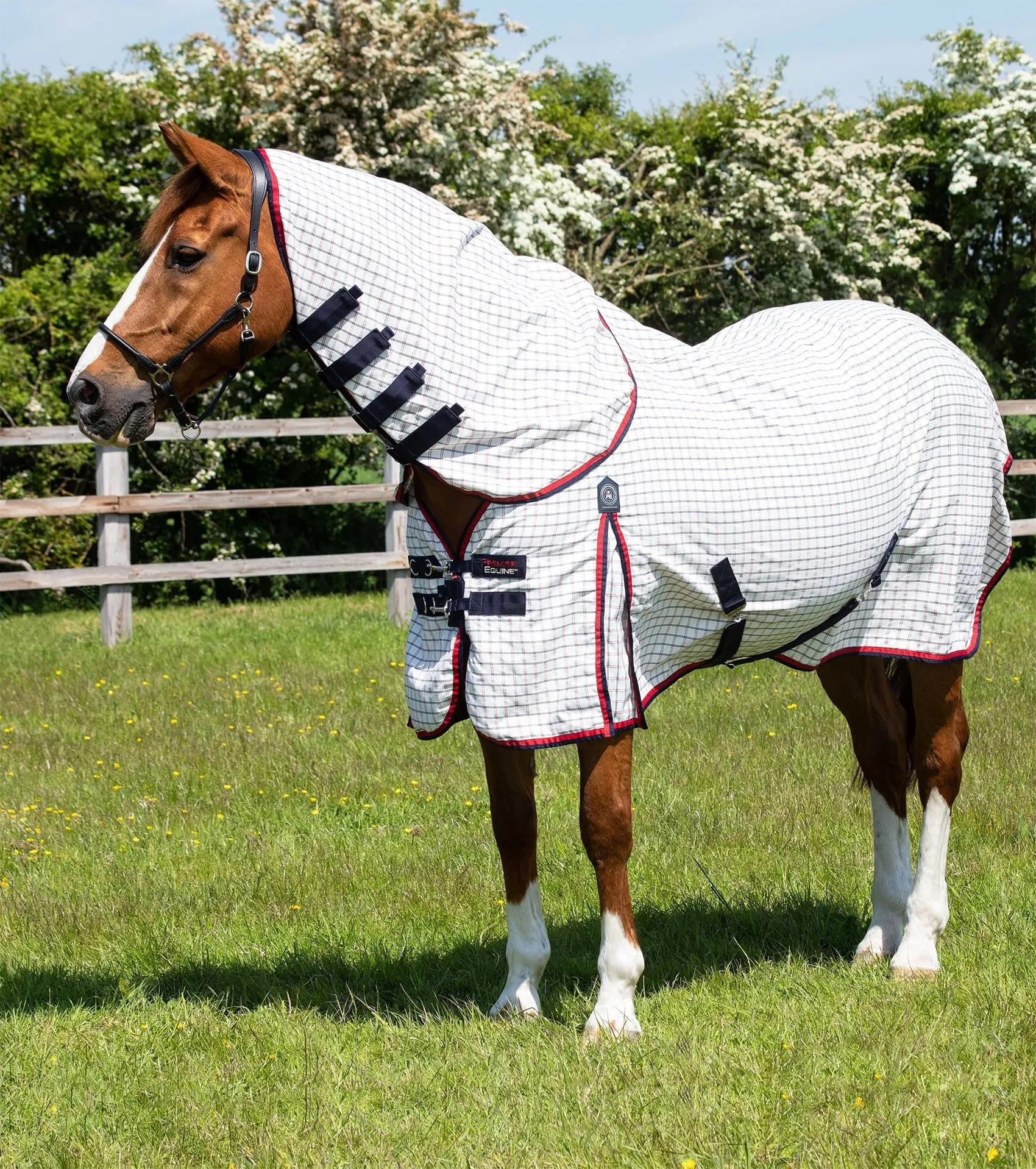 Combo Cotton Sheet Red Check