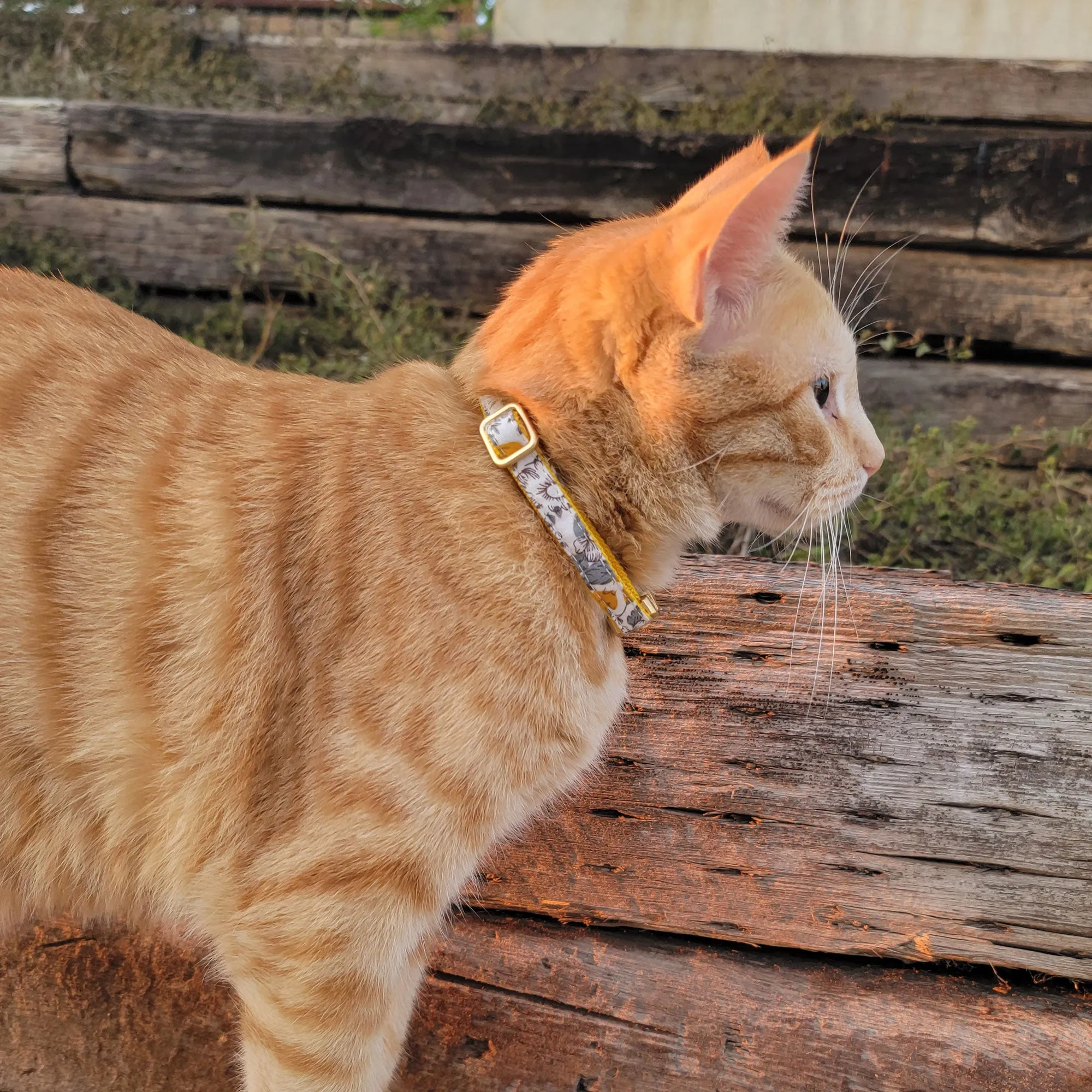 Cotton Floral Adjustable Cat Collar with Matt Gold Buckle and Bell, 07-Marigold