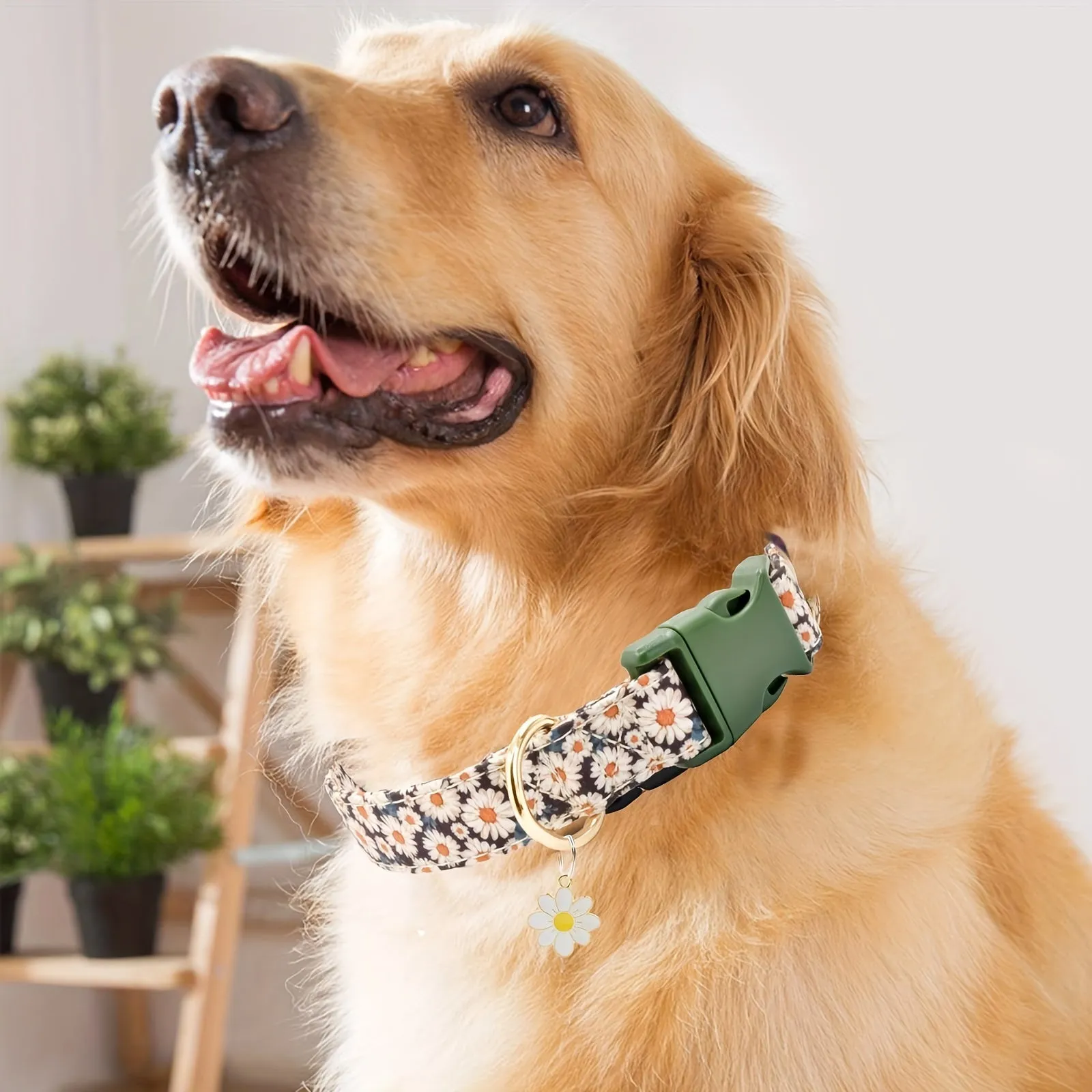 Daisy Patterned Dog Collar Cute Soft and Adjustable