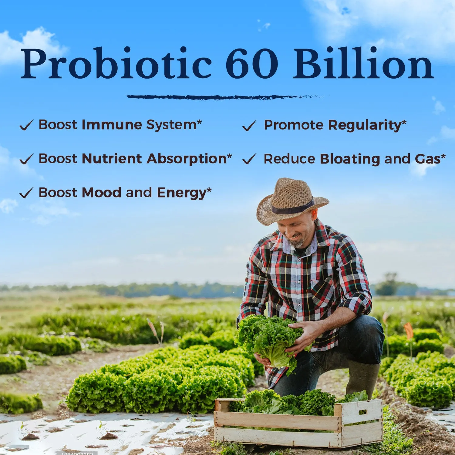 Digestive Daily Probiotics