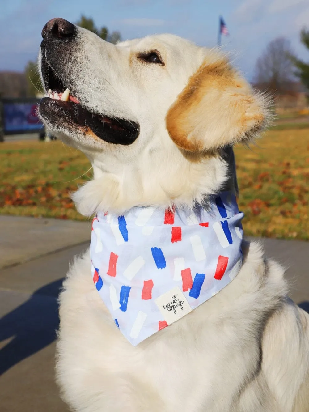 Dog Bandana - Summer Dazzle Red & Blue