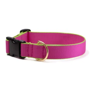 Extra-Wide Collar | Bright Pink & Lime