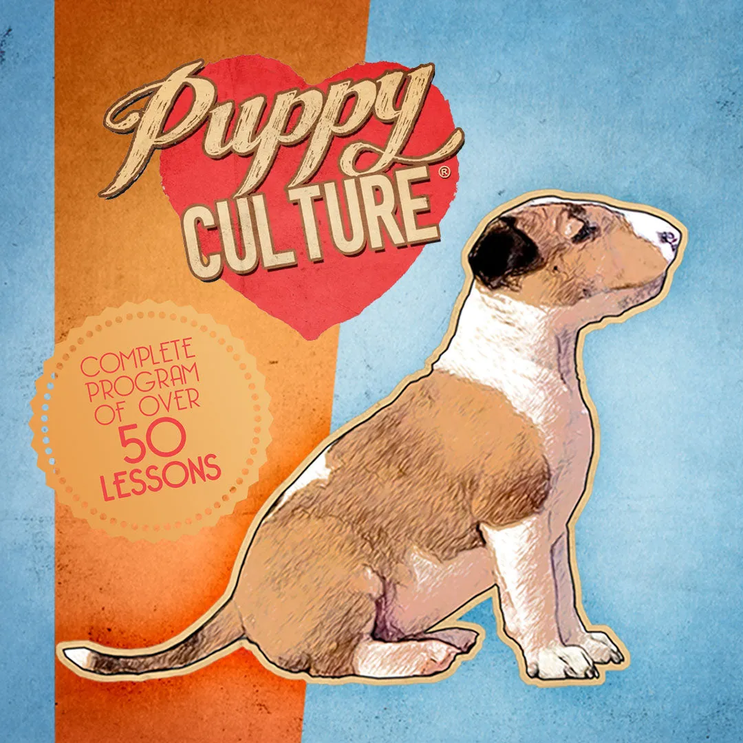 Full Power of Puppy Culture for Singletons – Show Package