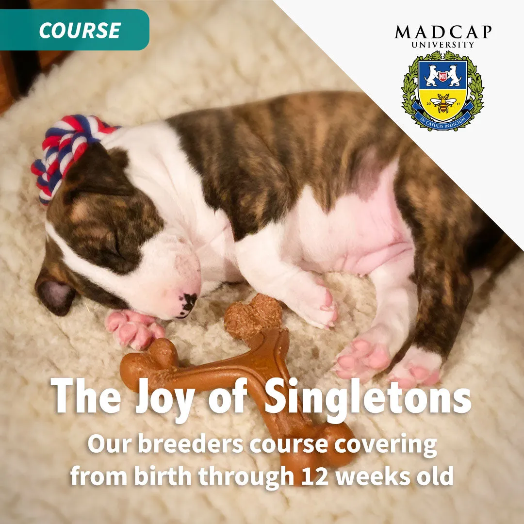 Full Power of Puppy Culture for Singletons – Show Package