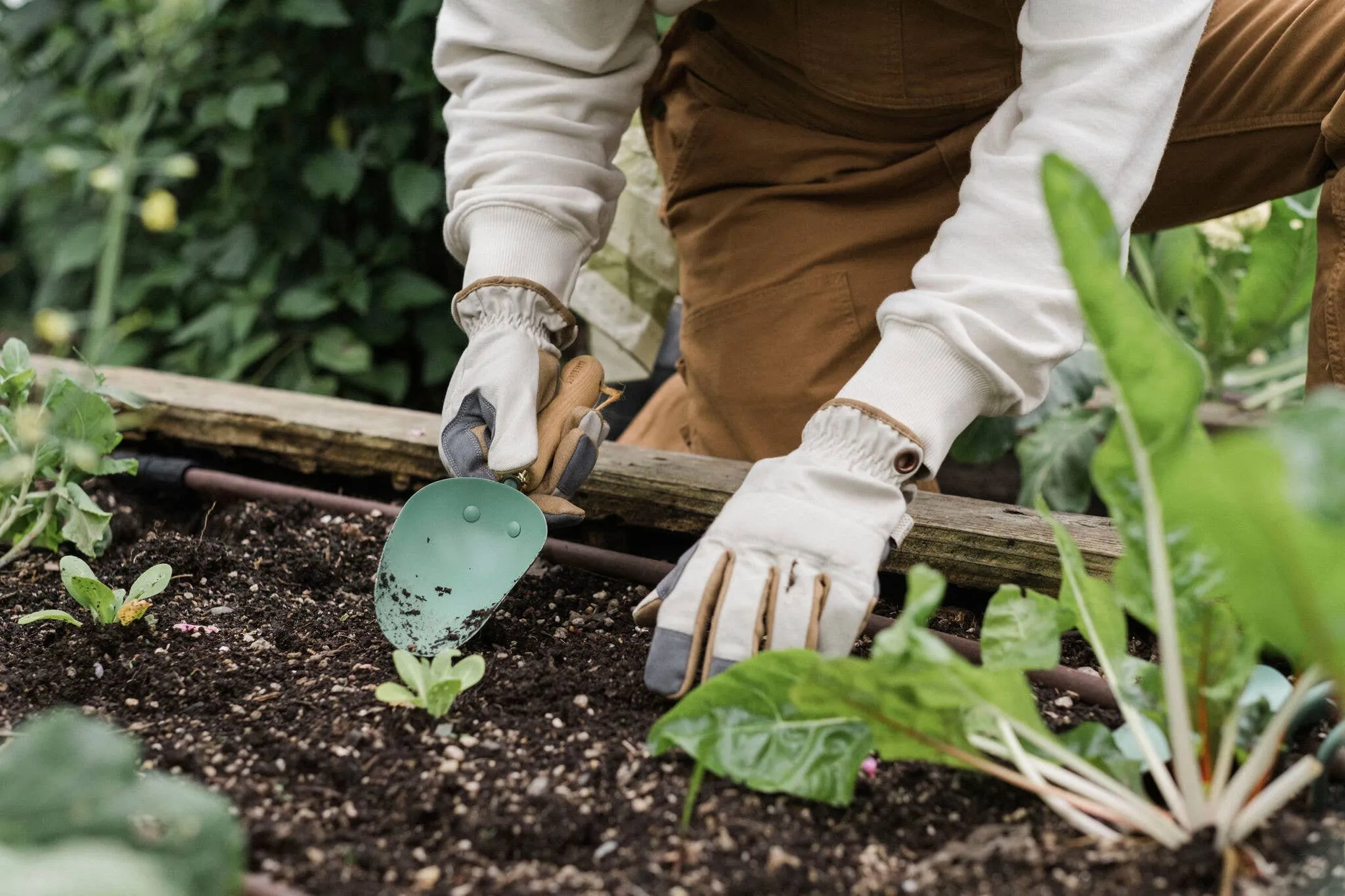 Garden Scoop: Walnut/Black