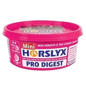 Horslyx Minilick Pro Digest (12x650g) - DECEMBER SPECIAL OFFER - 14% OFF