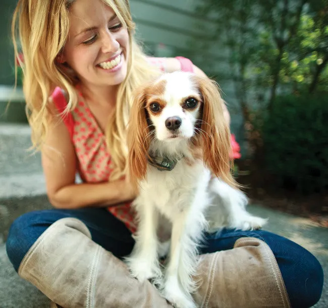 Little Dog Deluxe In-Ground Fence™ System