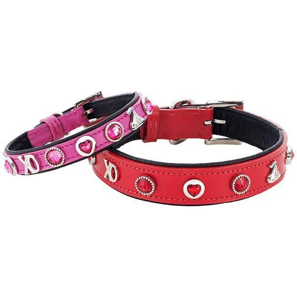 Love Is In The Air Charm Leather Dog Collar