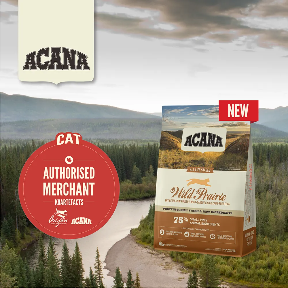 MISC FOC Acana Cat & Kitten Regional Wild Prairie 340g