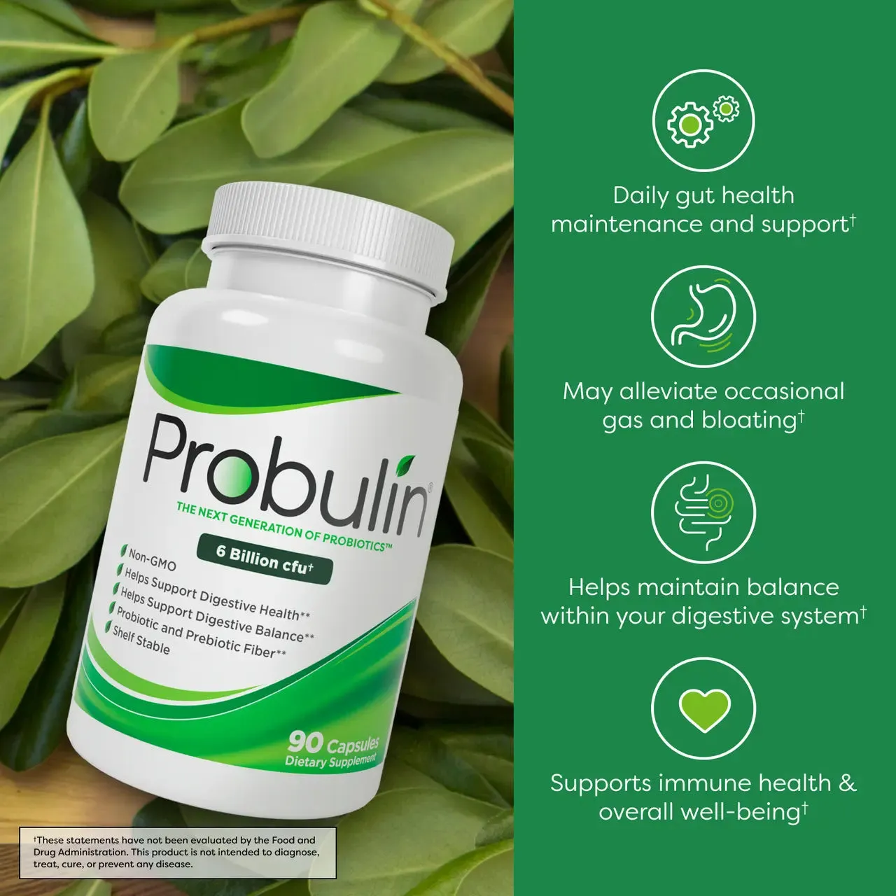 Original Formula Probiotic Capsules - 45 Count