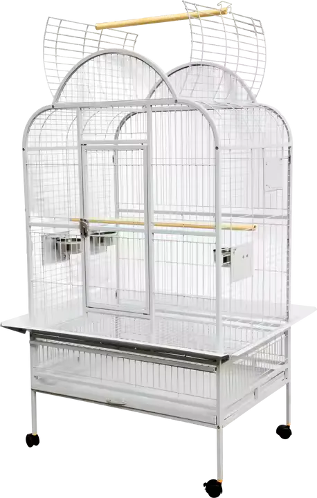 PARROT CAGE - ANTIQUE WHITE