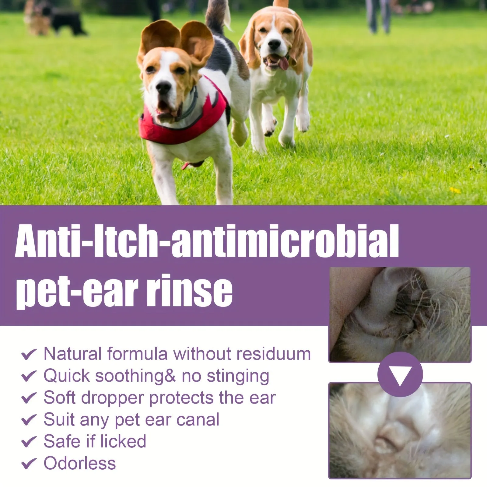 Pet Ear Wash Drops and Cleaning Swabs for Ear Infections