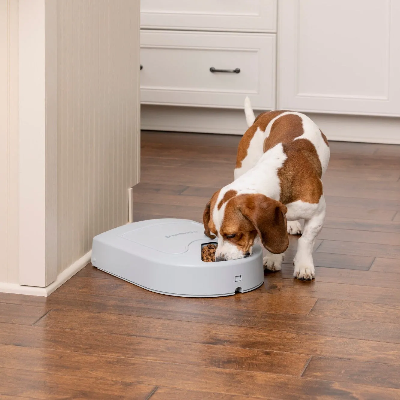 PetSafe® 5-Meal Pet Feeder