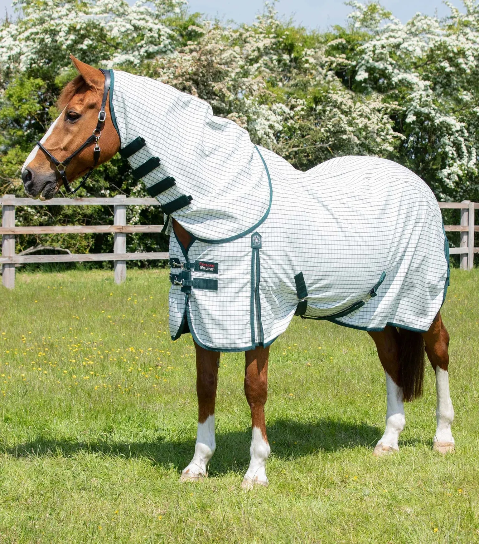 Premier Equine Combo Cotton Sheet