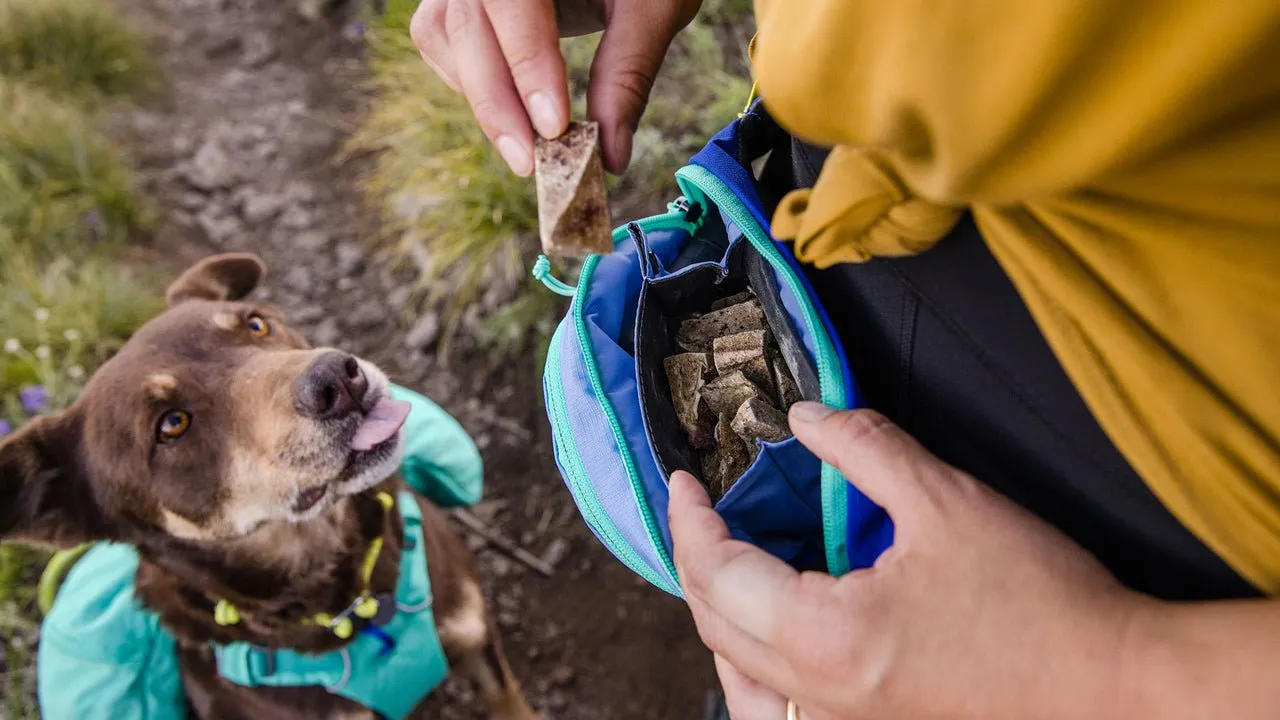 Ruffwear Home Trail Hip Pack