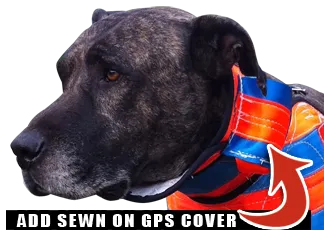 SK Neck Collars