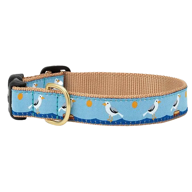 Teacup Collar | Gull Watch