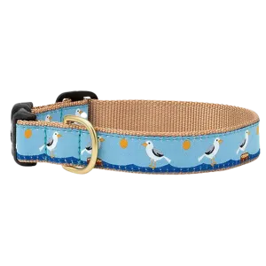 Teacup Collar | Gull Watch