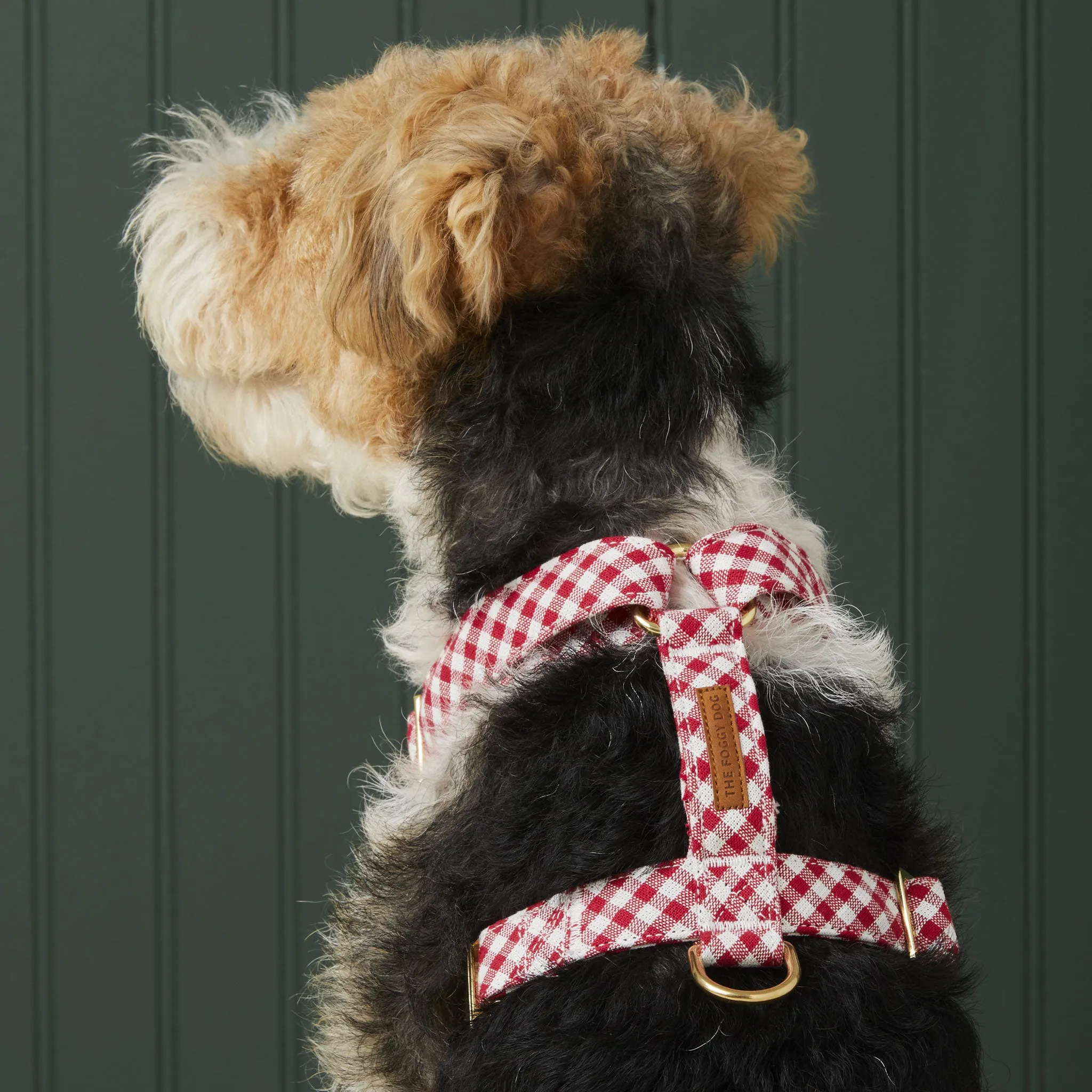 The Foggy Dog Harness - Red Gingham